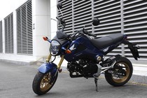 Khám phá xe côn tay Honda MSX 125 vừa ra mắt VN