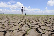 Hiện tượng El Nino sẽ hoạt động dữ dội dịp cuối năm