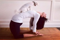 Những những động tác yoga tuyệt vời có 1-0-2