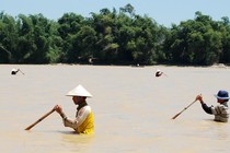 Gian nan nghề cào don, nhủi hến dưới đáy sông Trà Khúc