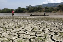 Hình ảnh hậu quả khủng khiếp của hiện tượng El Nino