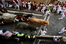 Khiếp đảm lễ hội bò tót San Fermin ở Tây Ban Nha