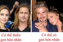 Vợ chồng hạnh phúc dài lâu là nhờ có “gen hôn nhân“?