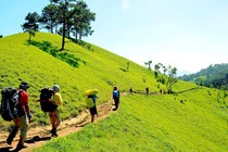 Băng rừng trên cung đường trek đẹp nhất Việt Nam