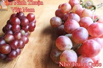 Cách vạch mặt nho Trung Quốc lừa người tiêu dùng