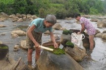 “Thung lũng tiên” và món ăn trường thọ giữa rừng Phú Thọ