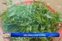 Khám phá đặc sản rau sắng Chùa Hương