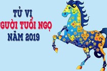 Tử vi tuổi Ngọ năm 2019: Một năm bình ổn, gặp nhiều may mắn