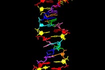 Truy tìm sự sống ngoài hành tinh từ DNA "8 chữ cái"