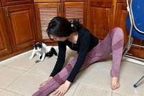 Mải tập Yoga, quay lại cô gái phát hiện mèo lén làm điều khó ngờ