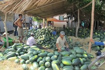 Trung Quốc liên tục thay đổi, hàng Việt ùn tắc trở tay không kịp