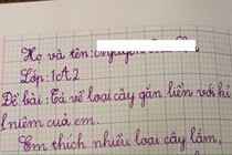 Bài văn tả loài cây kỷ niệm thời tiểu học khiến cộng đồng mạng dở khóc dở cười