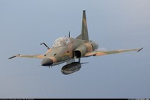 Mỹ vẫn bán tiêm kích F-5E, Việt Nam có thể mua?