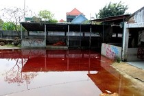 Đóng cửa lò mổ ô nhiễm, máu tụ lênh láng khắp sân