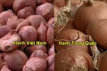 Mẹo hay phân biệt hành khô Việt Nam và Trung Quốc