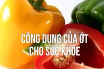 Những công dụng của quả ớt đối với sức khỏe