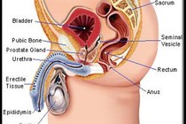 15 dấu hiệu nhận biết ung thư ở nam giới