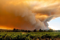 Cháy rừng ở California: Lính cứu hỏa bị...trộm ví khi đang dập lửa