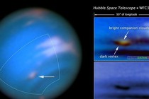 Bão khổng lồ trên sao Hải vương lọt tầm ngắm của Hubble