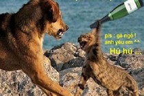 Khi động vật tỏ ra “nguy hiểm” (P2)