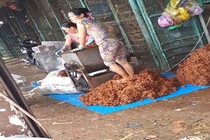 Kinh hãi sạp làm me vắt bằng chân