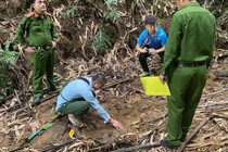 Lào Cai: Dùng thuốc trừ cỏ đầu độc 4 gia đình cùng thôn