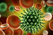 5 loại virus gây bệnh mới nổi liên quan đến biến đổi khí hậu