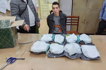 Bắt hơn 7,3kg ketamine cất giấu trong túi TPCN từ Hà Lan về Việt Nam