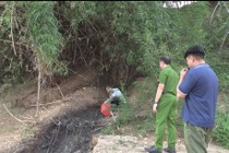 Trang trại nuôi hơn 15.000 con heo xả thải trực tiếp ra môi trường