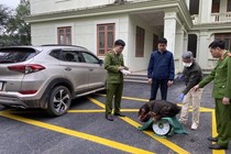 Bị bắt giữ vì vận chuyển động vật hoang dã
