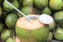 Dừa tươi tăng giá gấp đôi vì nắng nóng