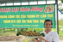 Tỷ phú miền Tây bén duyên, làm giàu với cây thanh nhãn