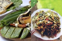 Bất ngờ trước những món ngon từ cây xương rồng 