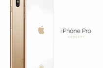 Ngây ngất trước iPhone Pro dùng cảm biến Touch ID trên màn hình