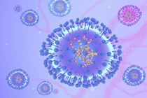 Sở Y tế TP HCM: HMPV không phải là virus mới