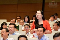 Lý giải của ĐBQH ủng hộ xử lý luật sư không tố giác thân chủ phạm tội