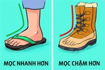 Vì sao móng tay mọc dài nhanh hơn móng chân?