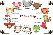 Tử vi tuần 7/12/2020 đến 13/12/2020 cho 12 con giáp: Thân Tuất Tỵ vào bảng vàng may mắn