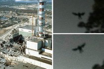 Quái vật huyền thoại xuất hiện ngay trước thảm kịch hạt nhân Chernobyl?