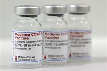 Những điều cần biết về vaccine Moderna, ai không nên tiêm?