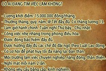 Tìm việc 15 triệu/tháng, vớ phải...