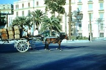 Diện mạo thành Rome, tháp nghiêng Pisa ở Italy những năm 1950