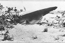 Tuyên bố cực sốc sự thật vụ UFO rơi ở Roswell năm 1947 