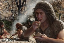 Bất ngờ lý do người Neanderthal có não lớn hơn người hiện đại