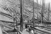 Ám ảnh vụ cháy rừng tồi tệ ở Mỹ năm 1910