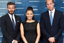 Thu Minh thân thiết bên hoàng tử William và David Beckham