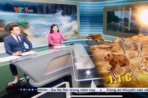 BTV Hữu Bằng đi chân đất khi dẫn chương trình thời sự VTV