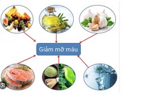 Top thực phẩm giúp giảm mỡ máu hiệu quả