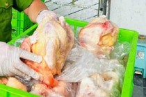 Hà Nội thu giữ 20 tấn gà ủ muối, nội tạng “bẩn"