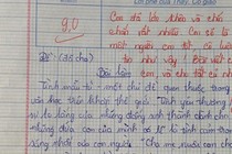 Bài văn 9 điểm về tình mẫu tử gây xúc động